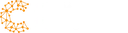 CROWDCONSULTANTS logo