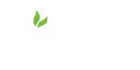 Noumi logo