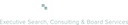 Birn+Partners logo