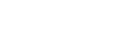 TEAM LEWIS logo