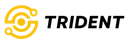 Trident Systems logo