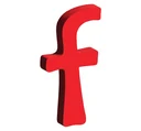 Ferguson Electric logo