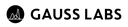 Gauss Labs logo