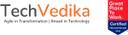 Techvedika logo