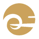 Davinci Jets logo
