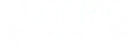 NORRIQ logo