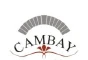 Cambay logo