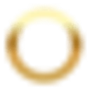 Stark Future logo