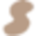 Skims logo